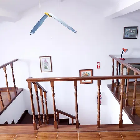 Al - Bairros Novos 24